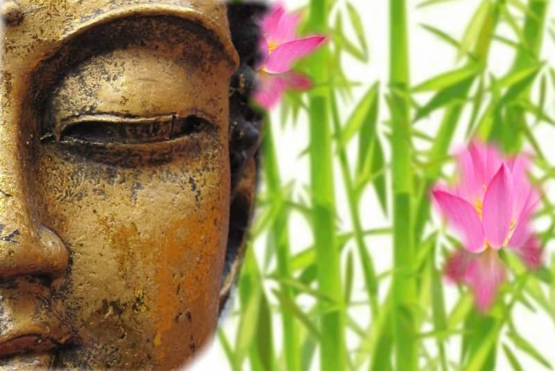 Reiki Behandlungen