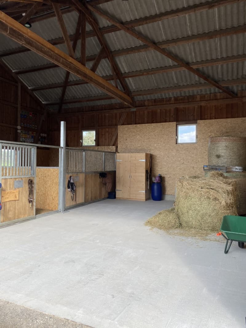 Biete schöne, helle und grosse Auslaufboxe in Fehraltorf