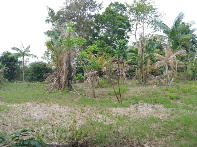 Brasilien 38 Ha Tiefpreis-Grundstück mit Privatsee