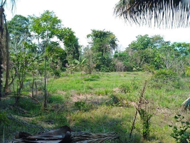 Brasilien 38 Ha Tiefpreis-Grundstück mit Privatsee