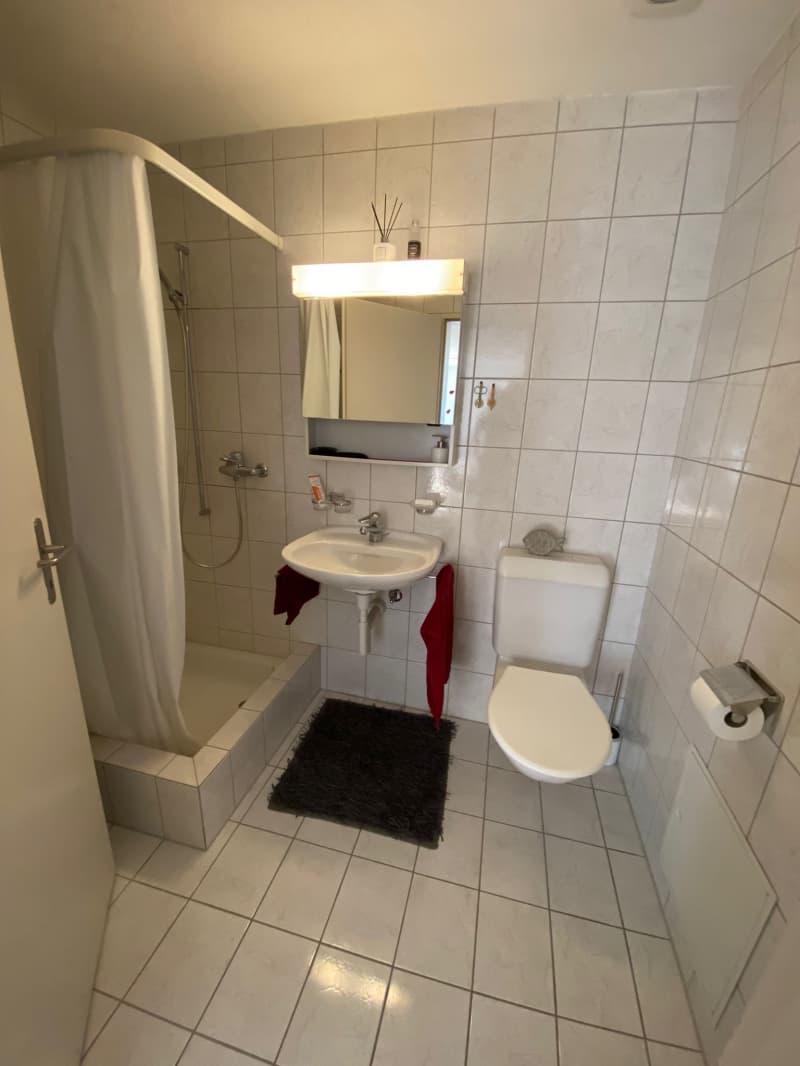 Nachmieter für attraktive 2.5 Zi Wohnung mit Balkon gesucht