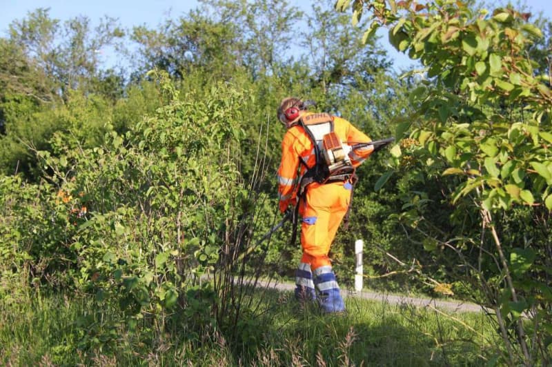 Landwirte erledigen für Sie Wiesen-, Rasen- und Biotoppflege