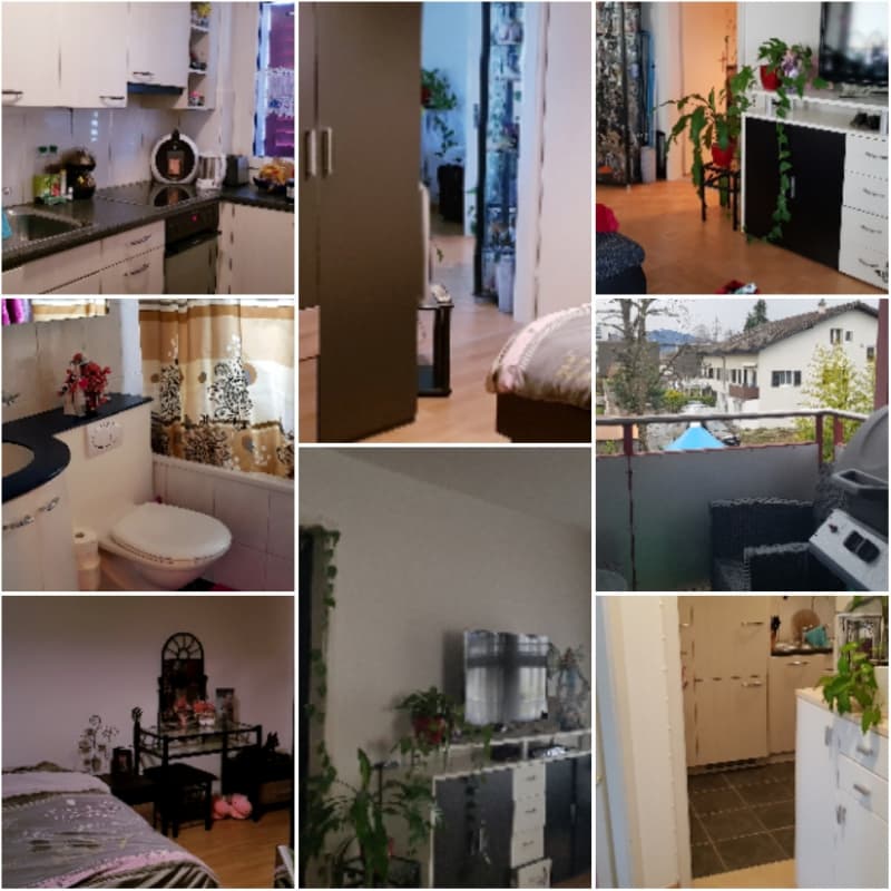 Nachmieter gesucht in Rüti zh