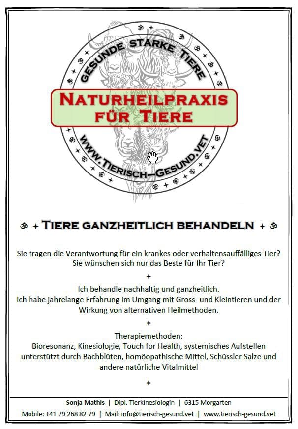 Bioresonanz für Tiere