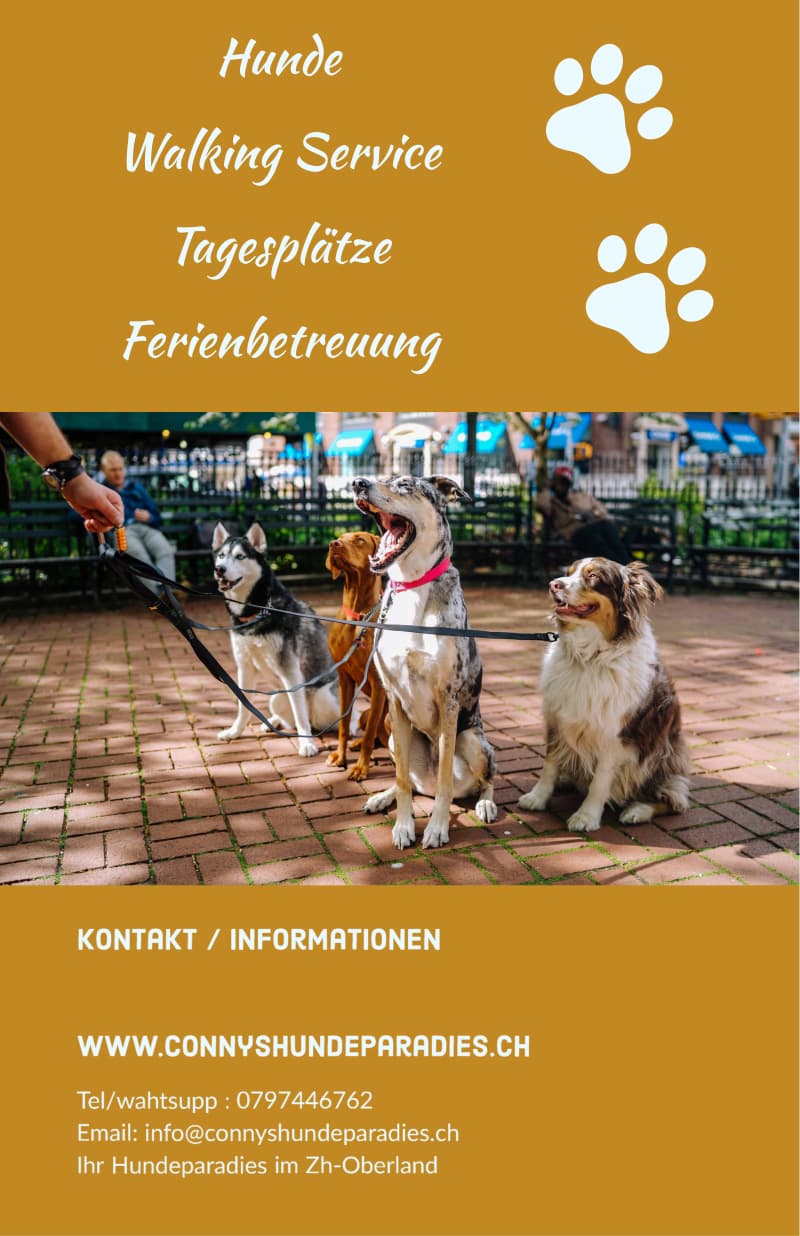 Dogwalking und Hundebetreuung