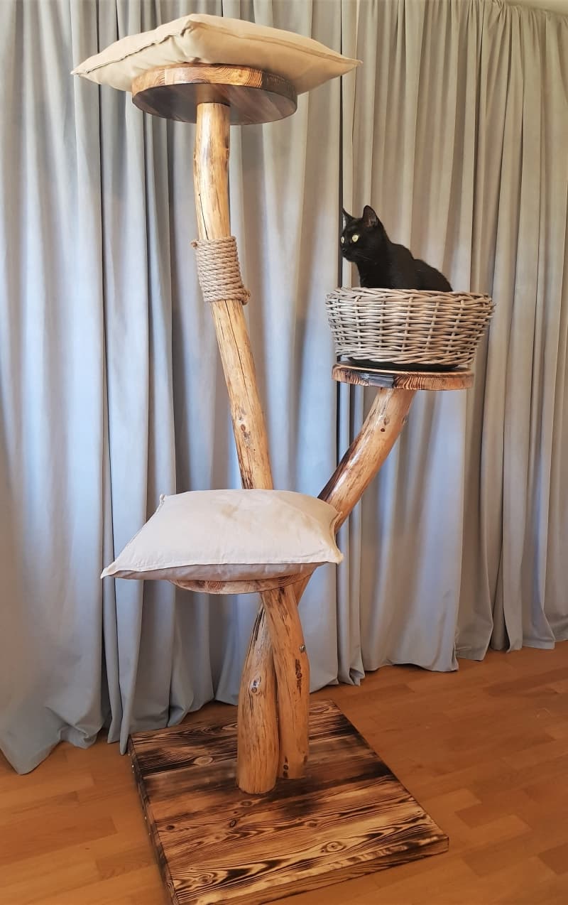 Bestqualität massiver Kieferholz Kratzbaum, Handmade! NEU!