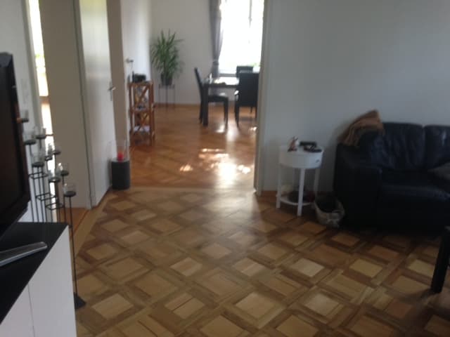 Stadthaus 8 Zimmer mit Parkanlage in Arbon