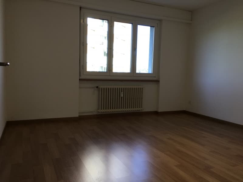 3 Zimmer Wohnung Emmen sucht Nachmieter