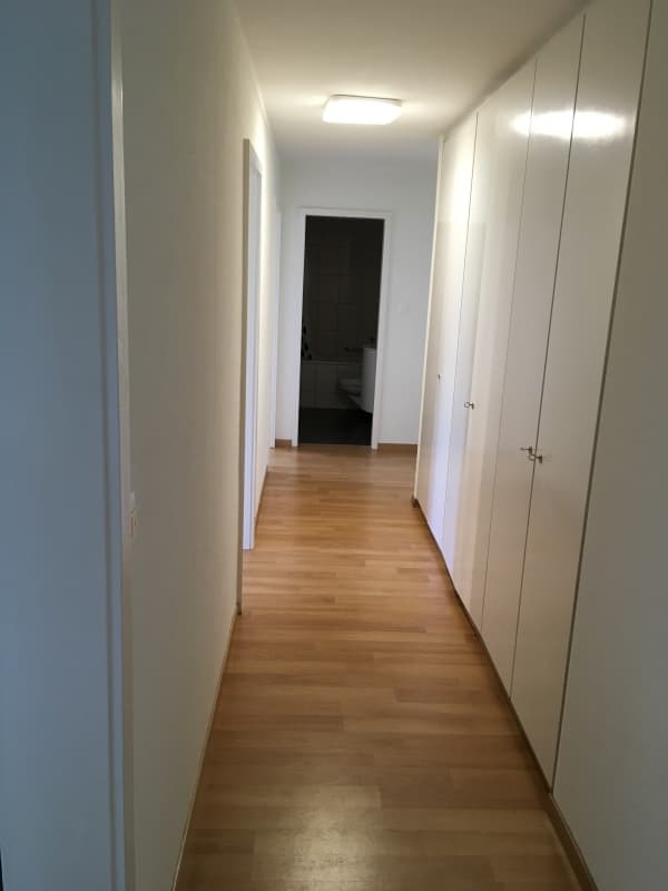3 Zimmer Wohnung Emmen sucht Nachmieter