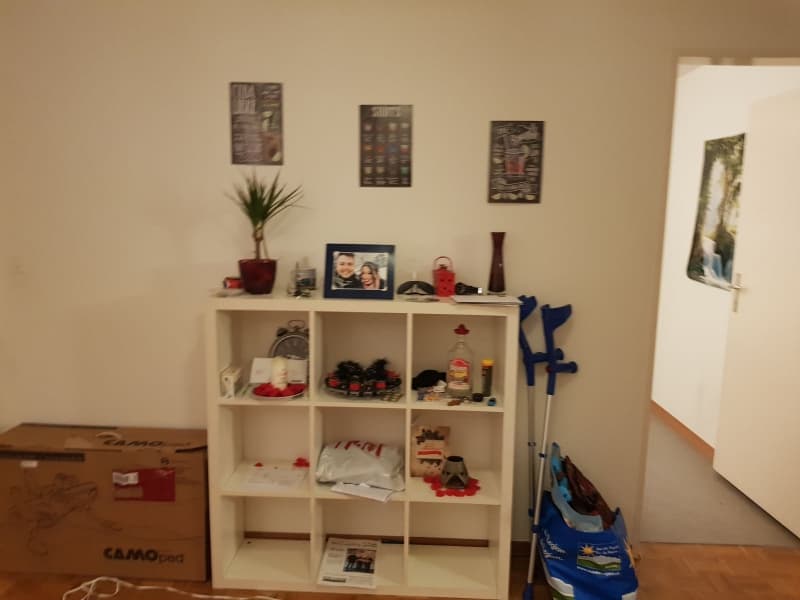 3,5 Zimmer Wohnung Villmergen