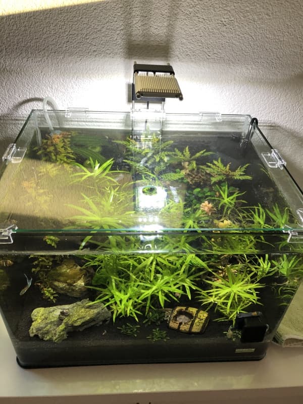 35l Dennerle Nanoaquarium zu verkaufen