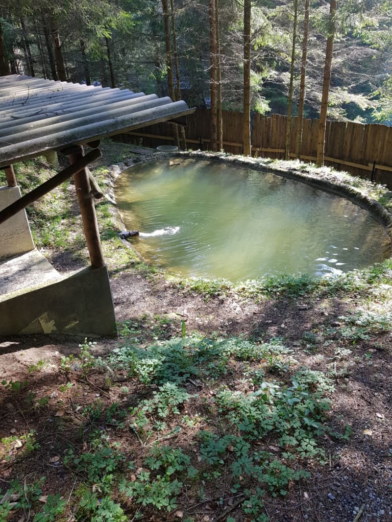 3 kleine Fischweiher