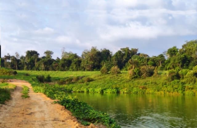 Brasilien 100 Ha grosse Tiefpreis-Früchtefarm mit kleinem See in