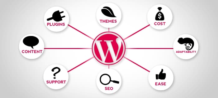 Flyer, logo, banner, webdesign ab 40fr