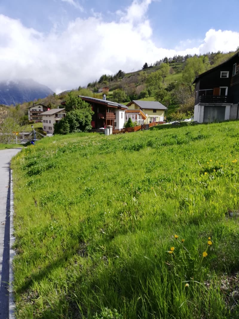 zu verkaufen Baugrundstück voll erschlossen in 3935 Bürchen VS