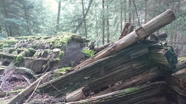 Wald und Naturschutz Verein sucht Tatkräftige Mithilfe