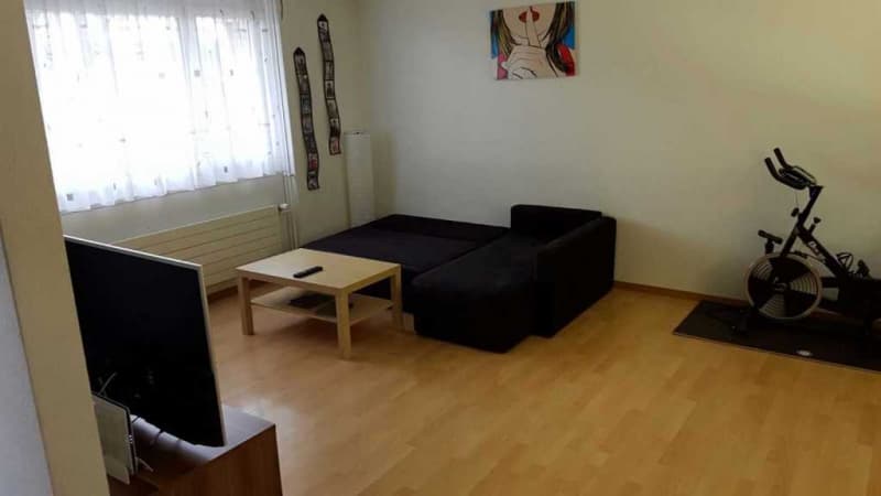 Nachmieter gesucht für grosse 4 1/2 Wohnung
