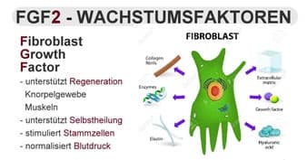 2. Standbein bis zur Selbstständigkeit