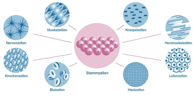 2. Standbein bis zur Selbstständigkeit