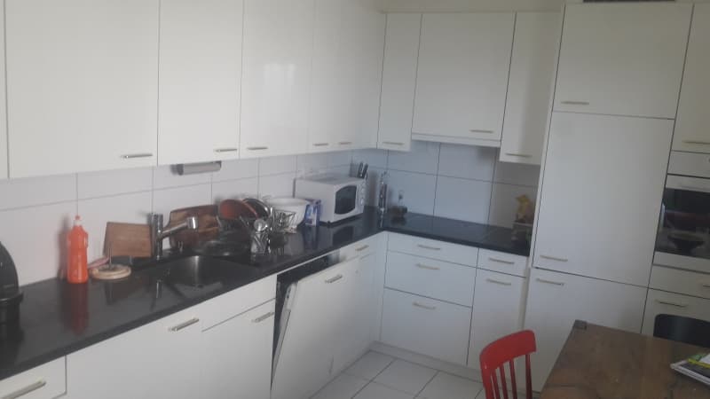 Schöne 2.5 Zi-Wohnung mit Garten und toller Aussicht auf Zürich