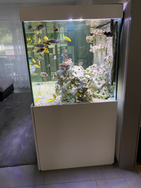 Schönes grosses Aquarium zu verkaufen