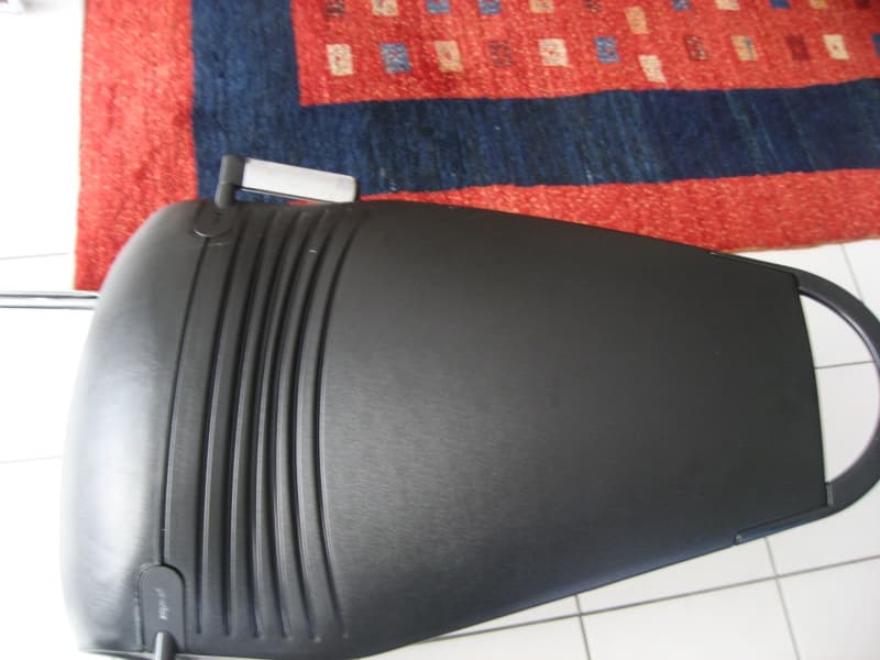 Giroflex Leder Freischwingerstühle mit Armlehne