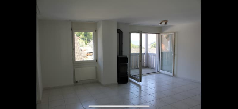 3 1/2 Zimmerwohnung