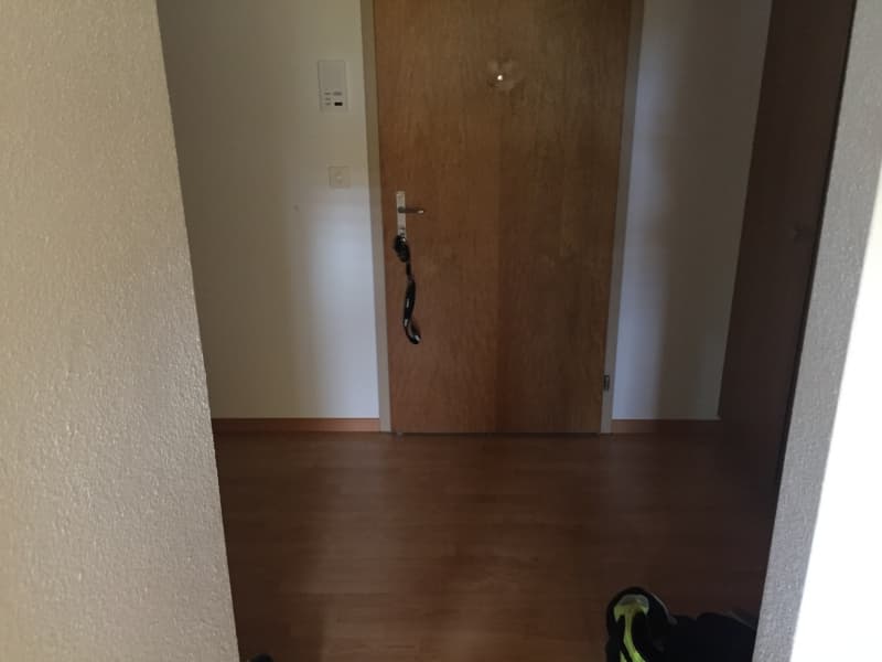 Nachmieter gesucht 1.5 Zi-Wohnung in Oberfeld 1, 6246 Altishofen