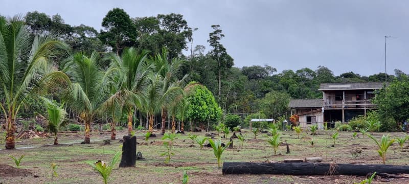 Brasilien 479 Ha grosse Früchtefarm in der Nähe von Manaus AM