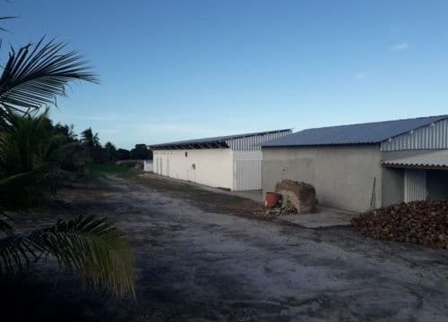 Brasilien Kokosnussölfabrik und Früchtefarm Region Salvador Bahia