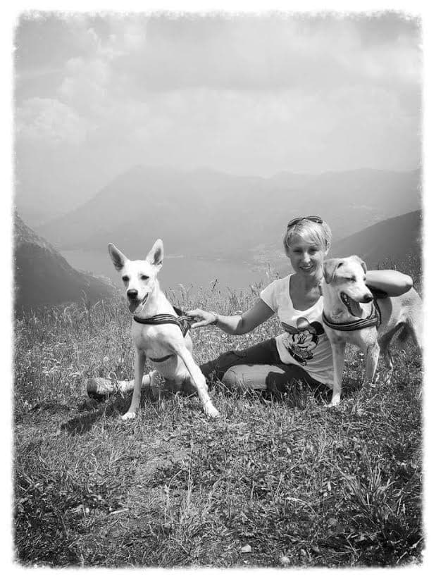 Suche ein Haus mit Umschwung wo Hunde und Katzen willkommen sind