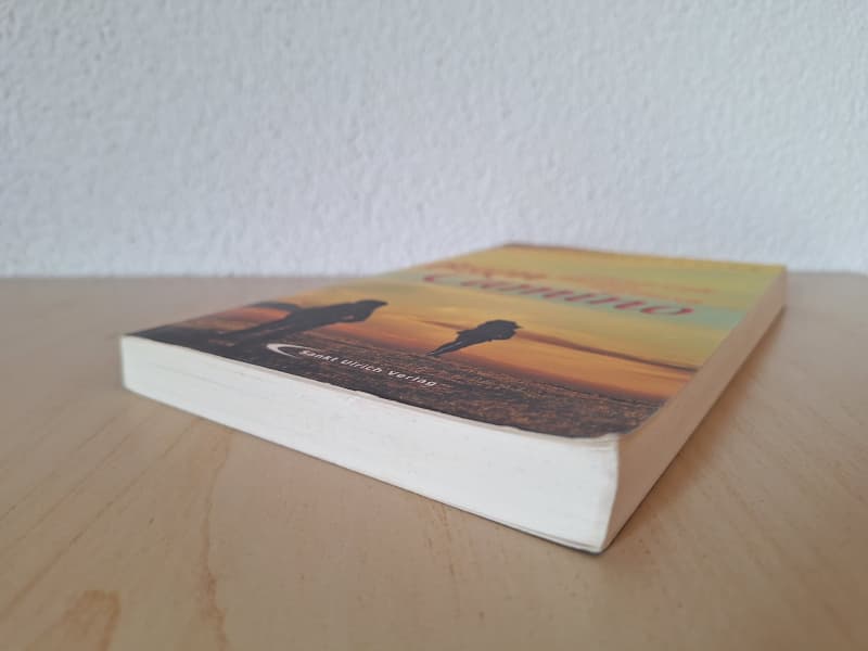 Buen Camino - Lebenswende auf dem Jakobsweg