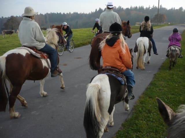 Reiten auf dem Elfenhof