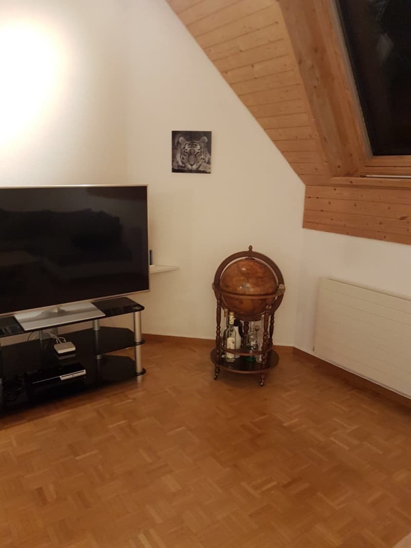 Aussergewöhnliche 3.5 Zimmer Attika-Dachwohnung in 8618 Oetwil