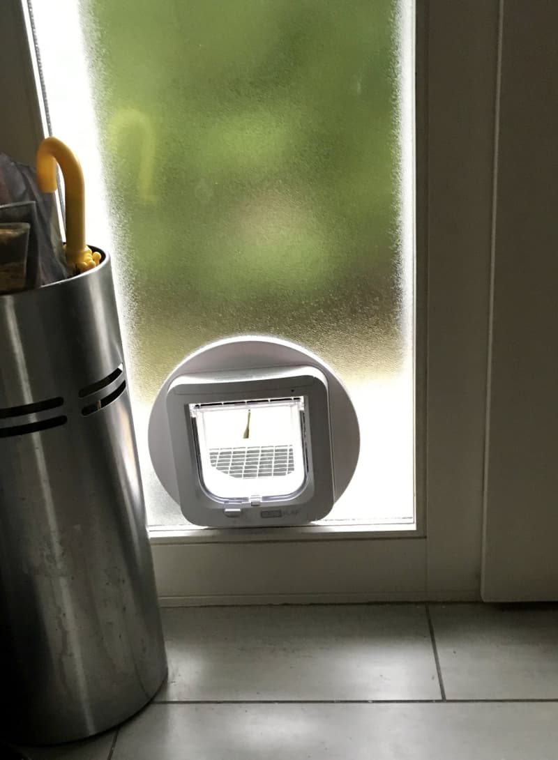 Katzentüren, Katzenschleusen
