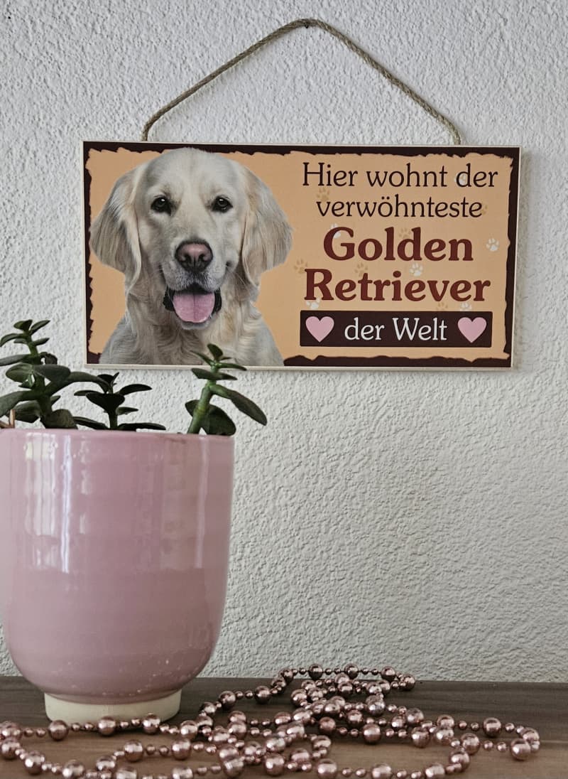Hunde Holzschild Golden Retriever