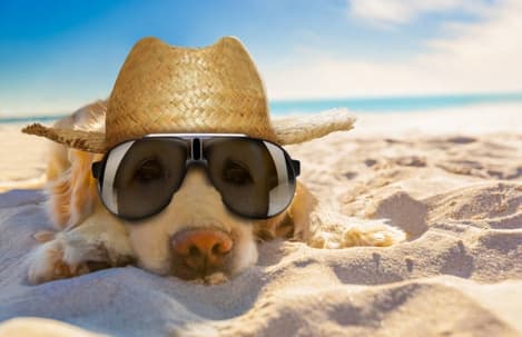 Sommer-Werbespot sucht Darsteller!