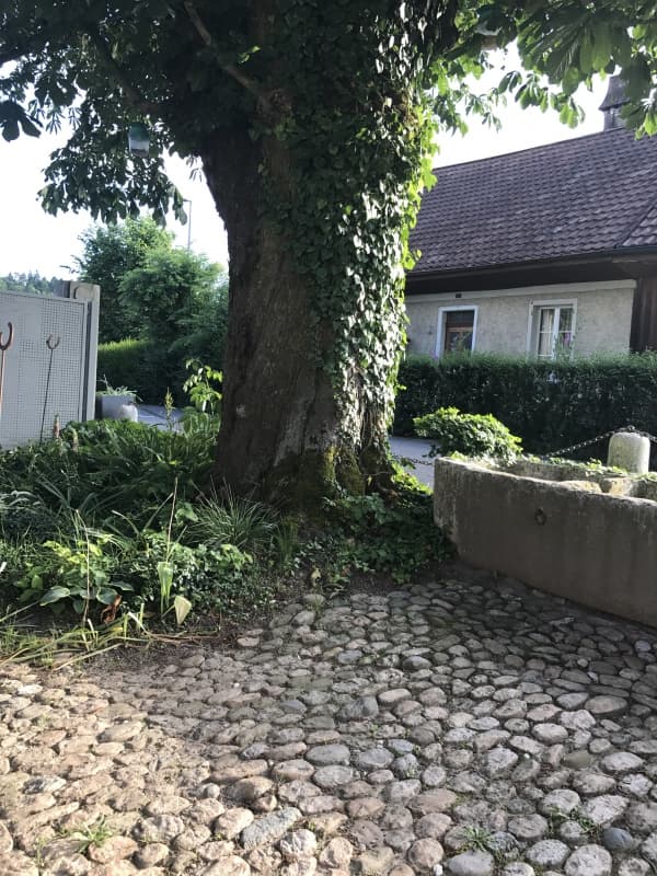 Solothurn: Raum für Events, Anlässe, Sitzungen, Feste