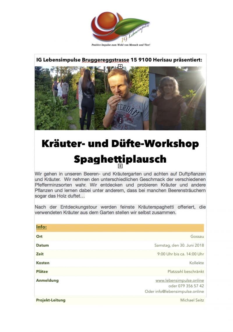 Kräutergarten Workshop