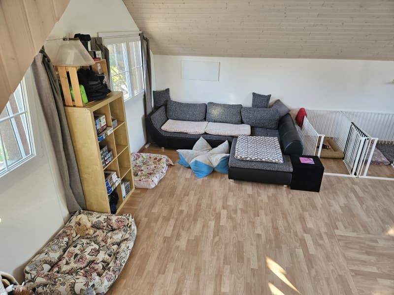 Hundebetreuung/Dogsitting