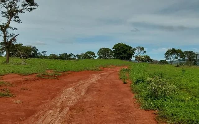 Brasilien 1'000 Ha Tiefpreis - Grundstück mit Rohstoffen in der N
