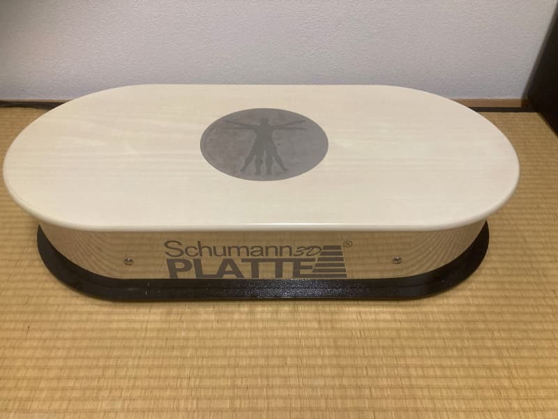 Schumann 3D-Platte für Prävention Rehabilitation