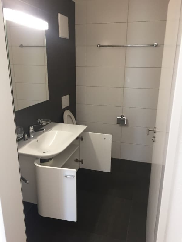 REINIGUNG AB CHF 100.-