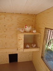 Hühnerhaus für max. 6 Hühner