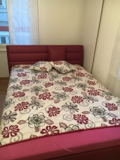 Verkaufe rotes Lederbett