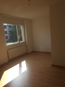 Ruhige und helle 3 Zimmer Wohnung Dubendorf