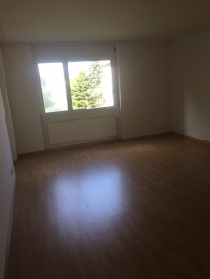 Ruhige und helle 3 Zimmer Wohnung Dubendorf