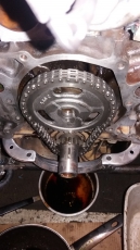 1979 Ford Mustang V8 5.0