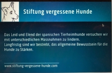 Dringend Pflegestellen gesucht!