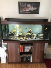 JUWEL Aquarium Rio 400